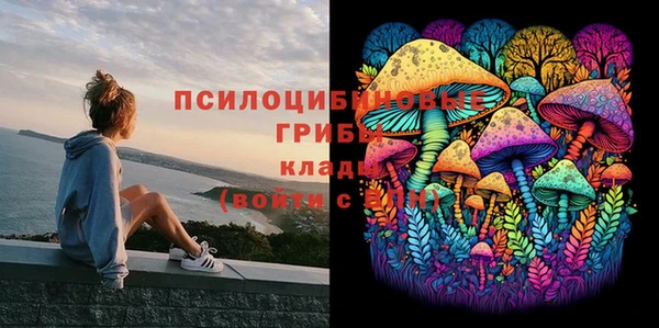 первитин Армянск