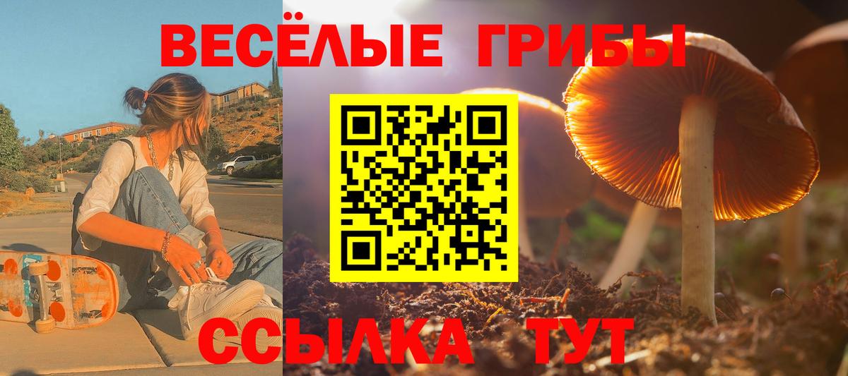 Псилоцибиновые грибы MAGIC MUSHROOMS Балахна